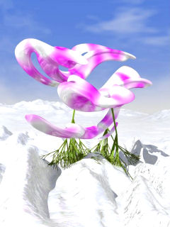 3D Wallpapers 0064